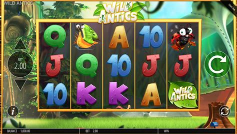 wild antics casinot